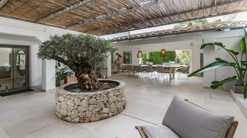 Terrasse couverte avec un grand olivier dans un bac en pierre et une salle à manger design ouvrant sur le jardin.
