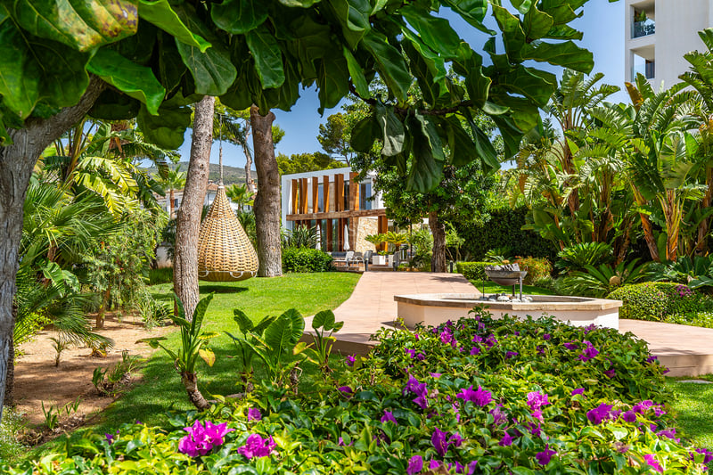Un jardin méditerranéen soigné avec des bougainvilliers violets, une balançoire en osier et une villa moderne blanche.