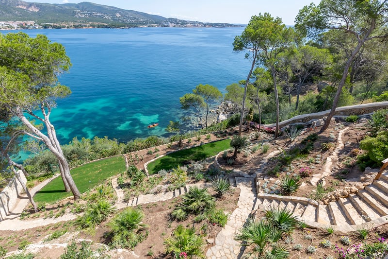 Jardin en terrasses avec escaliers en pierre et pins surplombant une mer turquoise et un littoral lointain.