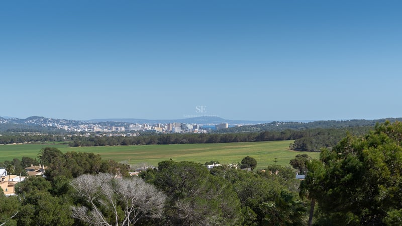 Vue panoramique sur des champs verts et des pinèdes vers les gratte-ciels de la ville et la mer au loin.