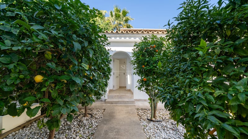 Un chemin en pierre bordé de citronniers et d'orangers mène à l'entrée voûtée d'une villa blanche.