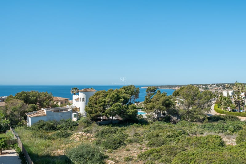 Vue en plongée de la mer Méditerranée bleue derrière des arbres verts et des villas méditerranéennes blanches.