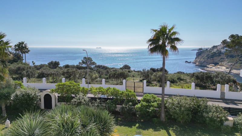 Vue d'une mer bleue scintillante et de palmiers depuis un jardin avec un mur blanc et des falaises au loin.