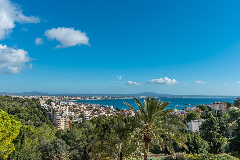 Vaste terrasse avec vue sur la mer. Mobilier moderne, piscine à débordement, solarium et jardin luxuriant. Design architectural contemporain.