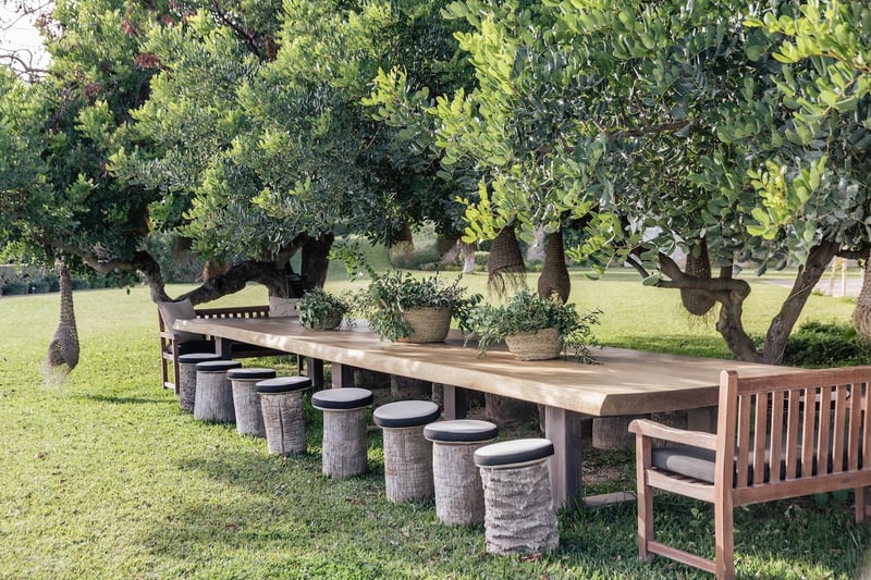 Longue table en bois massif avec taburets sous de grands arbres feuillus sur une pelouse verte.