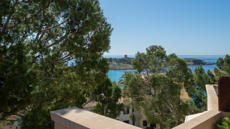 Vue depuis une terrasse en pierre sur la mer Méditerranée turquoise avec des pins et une petite île au loin.