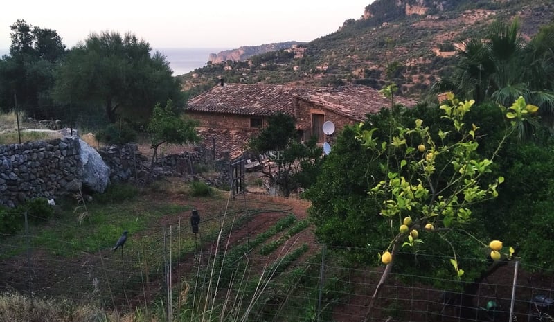 Maison traditionnelle en pierre avec toit en terre cuite entourée d'un potager, de citronniers et vue sur la mer.