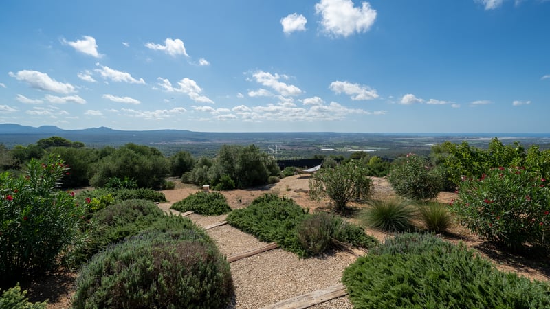 Vue extérieure d'une maison moderne avec piscine à débordement, entourée de verdure. Architecture minimaliste, baies vitrées et détails design.