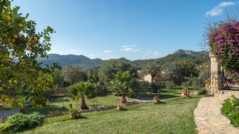 Jardin verdoyant avec palmiers et pots en terre cuite offrant une vue sur les montagnes sous un ciel clair.