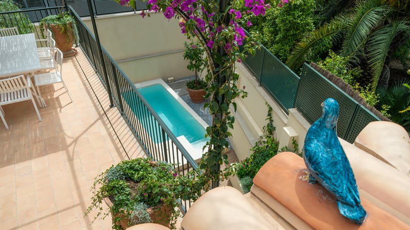Vue en plongée d'une piscine turquoise entourée de murs crème, de plantes vertes et de bougainvilliers violets.