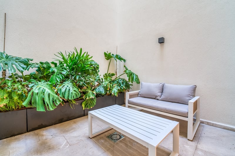 Canapé et table basse d'extérieur blancs sur un patio en pierre entouré de grandes plantes Monstera.