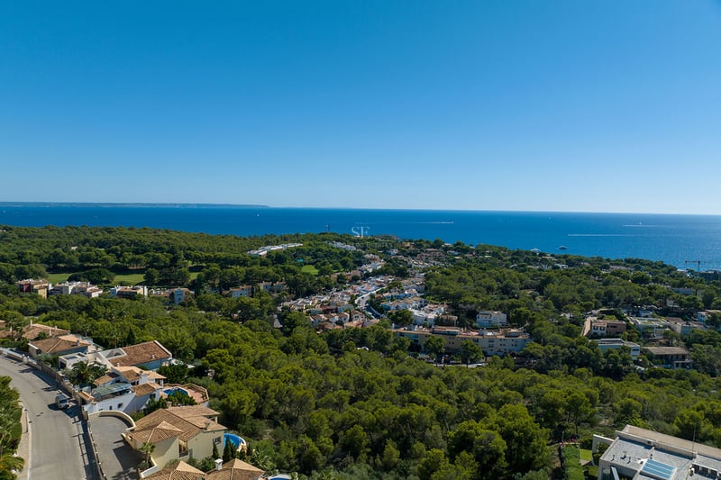 Vue aérienne d'une forêt verdoyante rejoignant une ville côtière avec la mer bleue à l'horizon.