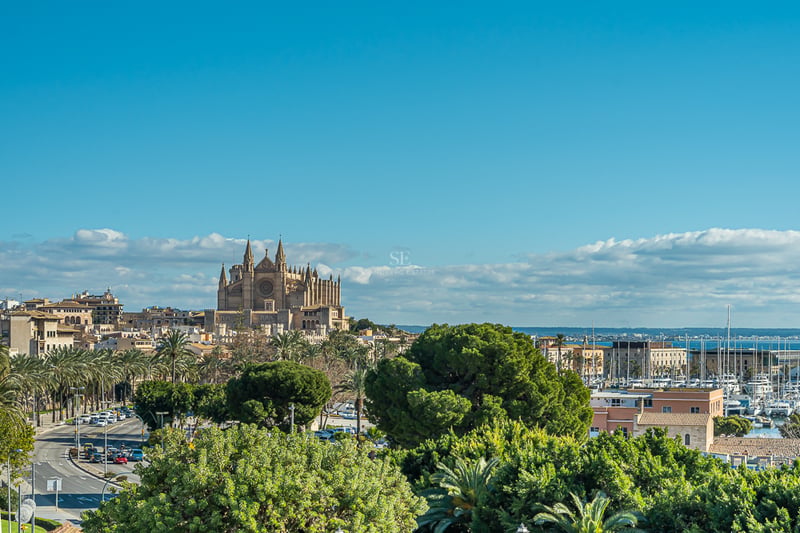 Vue dégagée sur la cathédrale de Palma de Majorque, un port de plaisance avec des yachts et des arbres verdoyants.