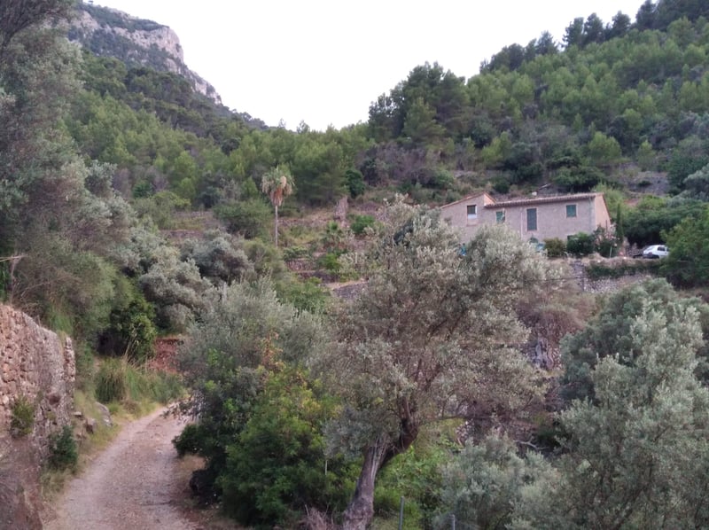 Maison traditionnelle en pierre située sur une colline boisée avec un chemin de terre et des montagnes en arrière-plan.