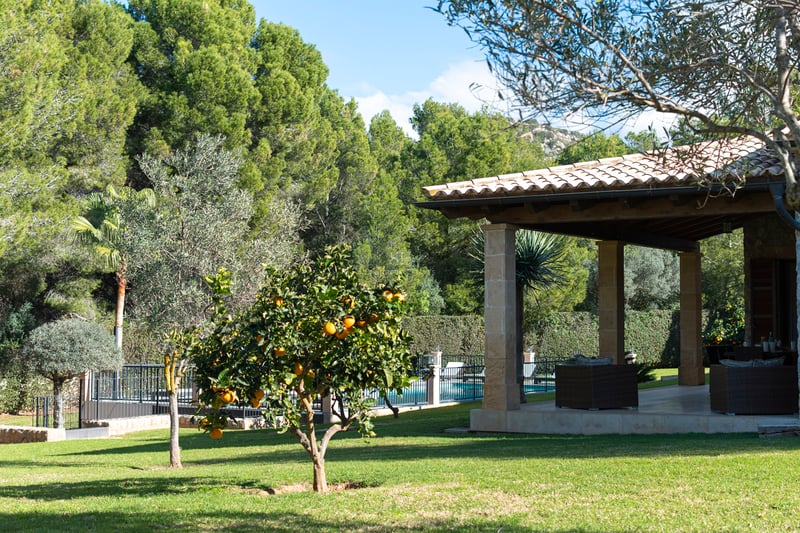 Pelouse avec un oranger au premier plan et une terrasse couverte aux piliers en pierre avec mobilier en rotin.