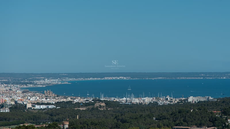 Vue sur la côte de Palma de Majorque, montrant la cathédrale gothique et le port de plaisance rempli de yachts.
