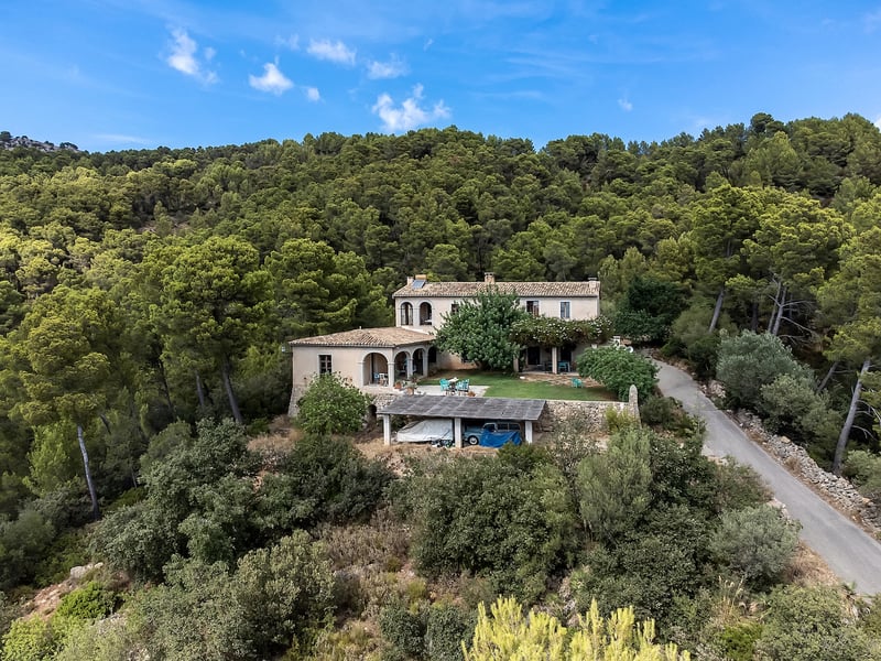 Vue extérieure d'une villa rustique avec toits en tuiles entourée d'une forêt de pins, jardin et parking couvert.