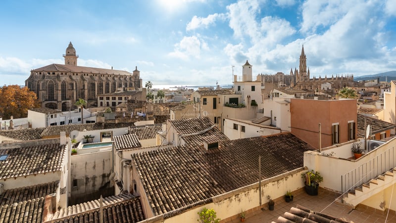 Rooftop view over Palma de Mallorca's historic center with the Cathedral and Sant Francesc church under a blue sky.