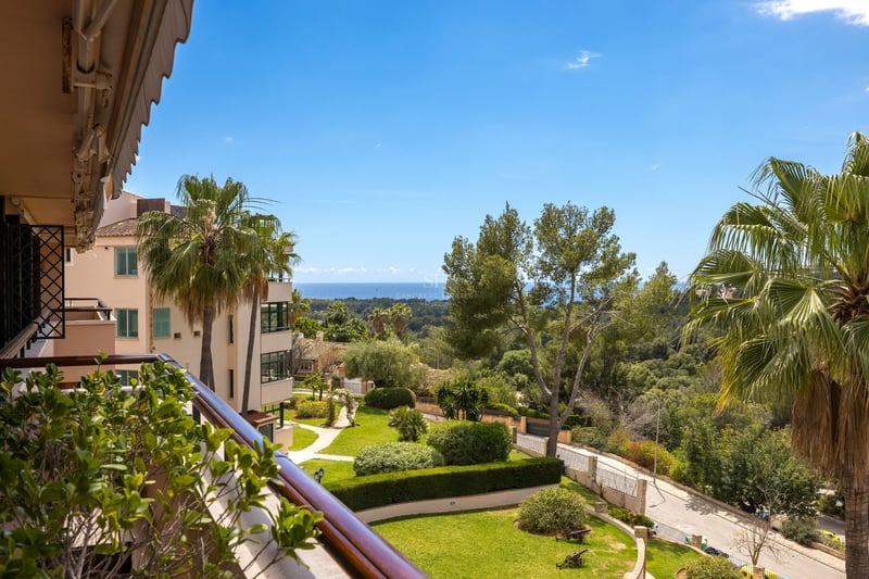 Vue d'un balcon sur un jardin méditerranéen avec des palmiers et la mer bleue au loin par temps clair.