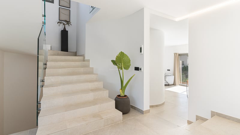Escalier intérieur moderne avec marches en pierre crème, garde-corps en verre et une grande plante dans un hall lumineux.