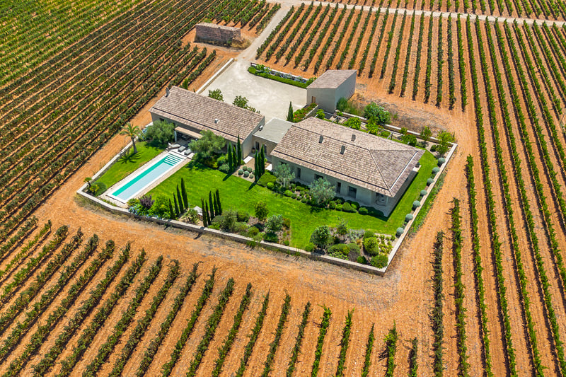 Vue aérienne d'une villa méditerranéenne moderne avec piscine, entourée de vastes rangées de vignes symétriques.