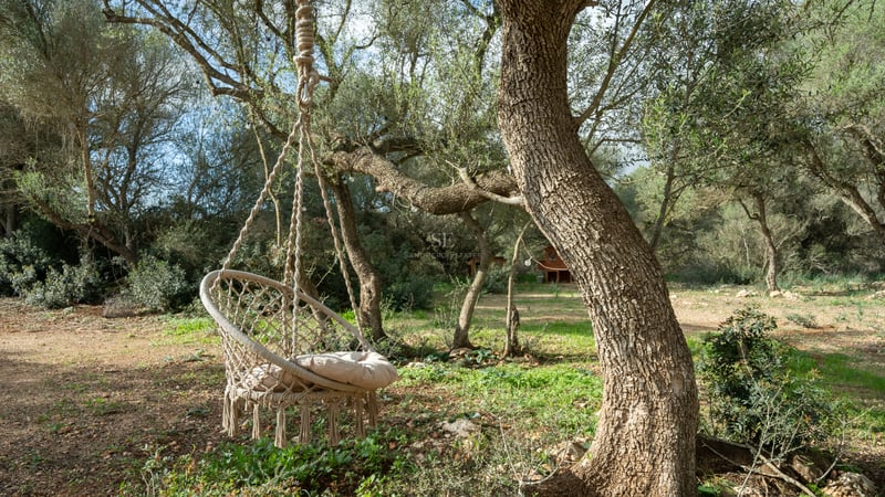 Fauteuil suspendu en macramé crème sous un olivier centenaire dans un jardin méditerranéen ensoleillé.